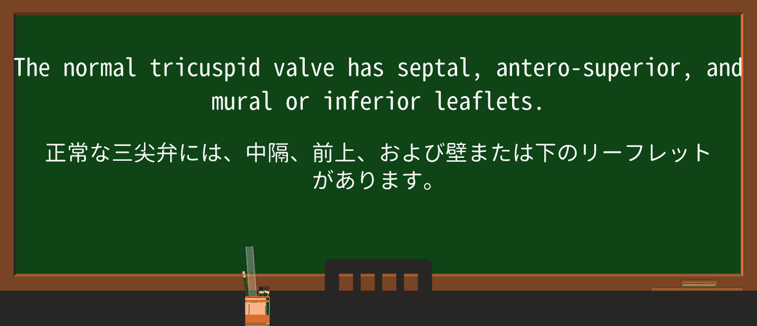 【英単語】muralを徹底解説!意味、使い方、例文、読み方 ・例文2