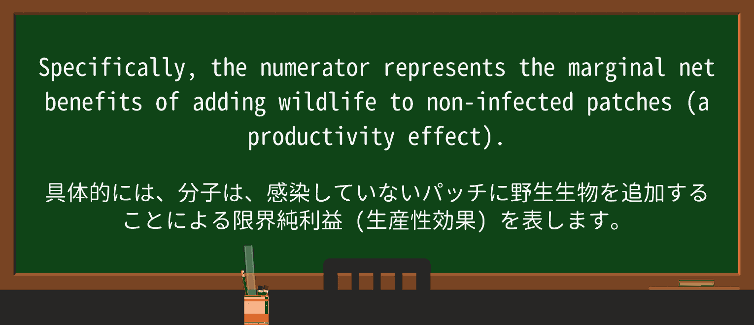 【英単語】numeratorを徹底解説!意味、使い方、例文、読み方 ・例文2