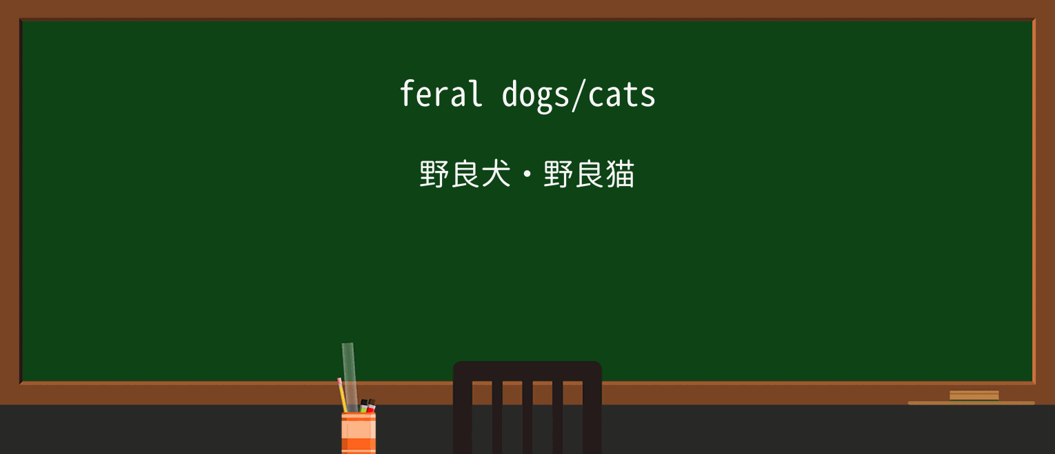 【英単語】feralを徹底解説!意味、使い方、例文、読み方 ・例文1