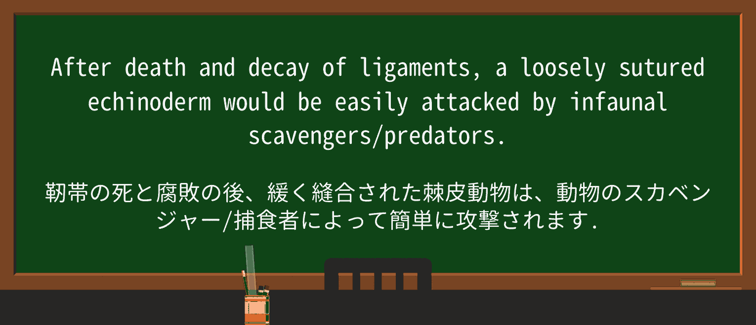【英単語】ligamentを徹底解説!意味、使い方、例文、読み方 ・例文3