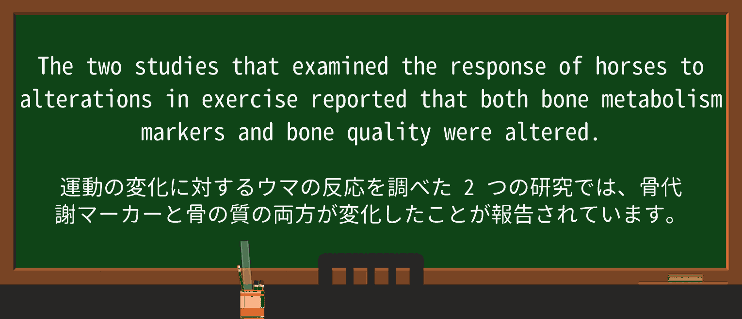 【英単語】metabolismを徹底解説!意味、使い方、例文、読み方 ・例文4