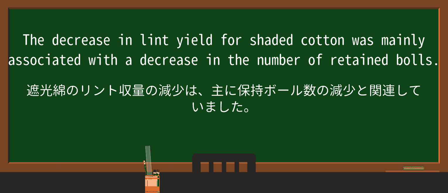 【英単語】lintを徹底解説!意味、使い方、例文、読み方 ・例文3