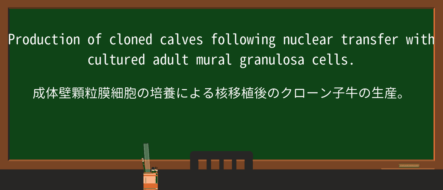 【英単語】muralを徹底解説!意味、使い方、例文、読み方 ・例文1