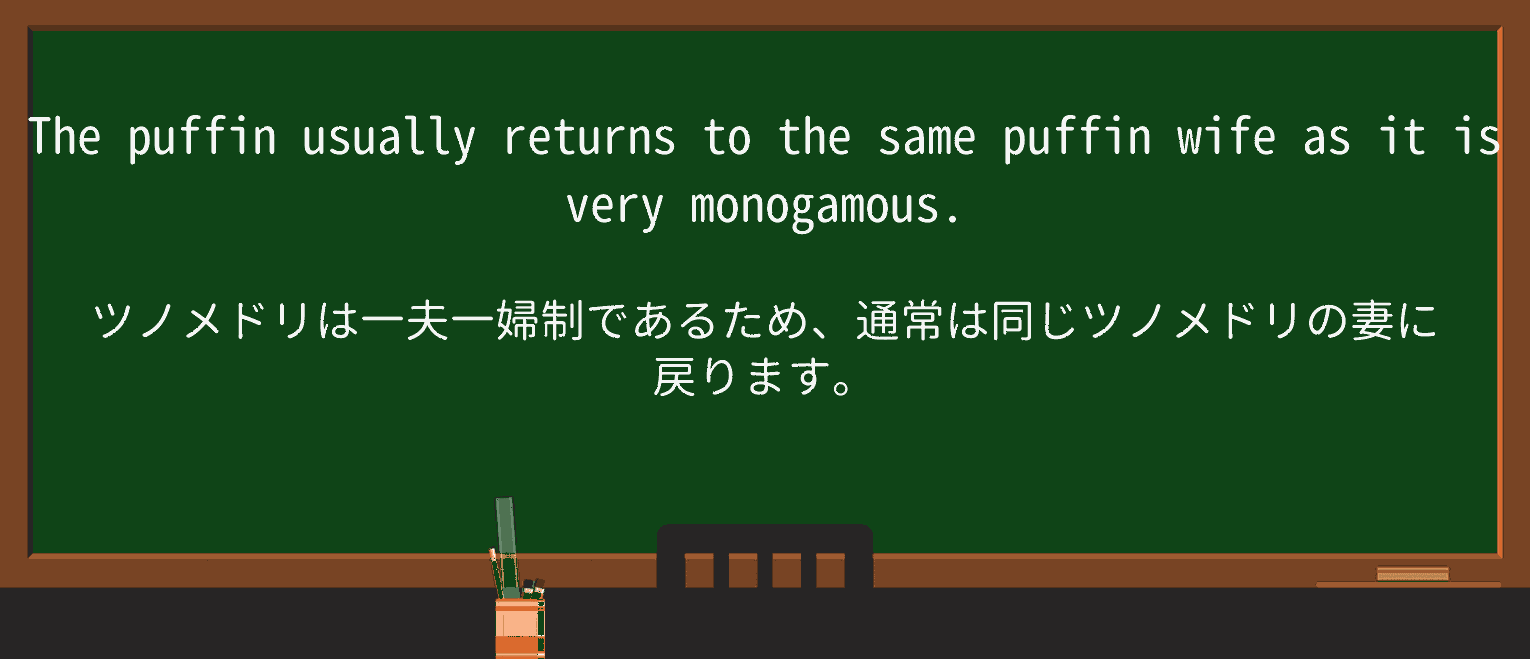 【英単語】monogamousを徹底解説!意味、使い方、例文、読み方 ・例文1