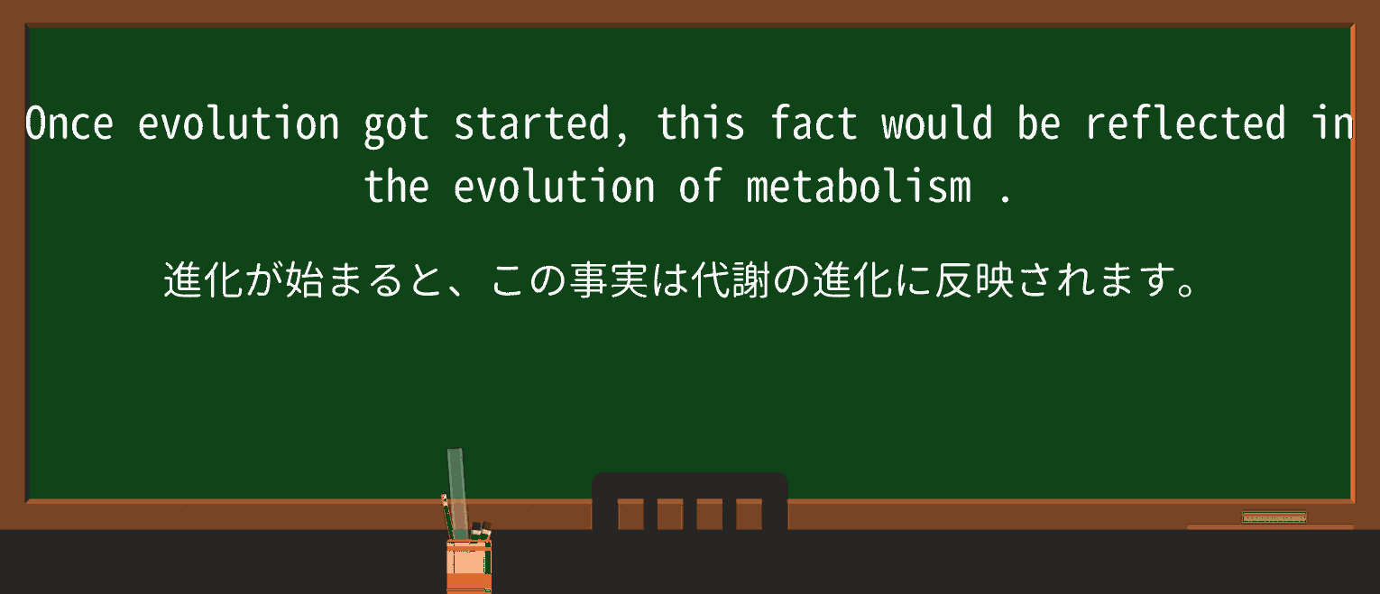 【英単語】metabolismを徹底解説!意味、使い方、例文、読み方 ・例文3