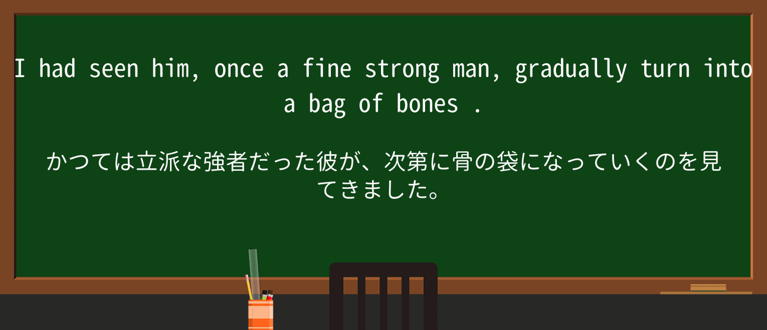 【英単語】bag-of-bonesを徹底解説!意味、使い方、例文、読み方 ・例文2