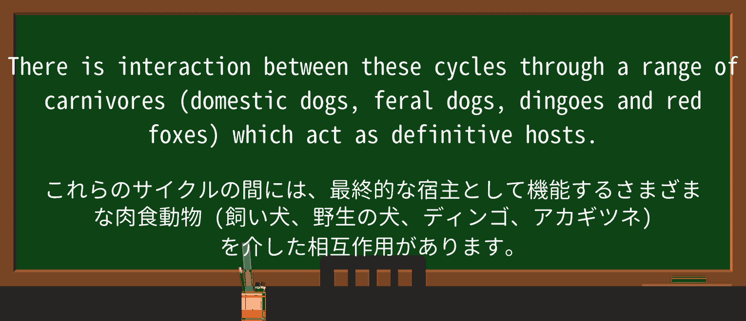 【英単語】feralを徹底解説!意味、使い方、例文、読み方 ・例文4