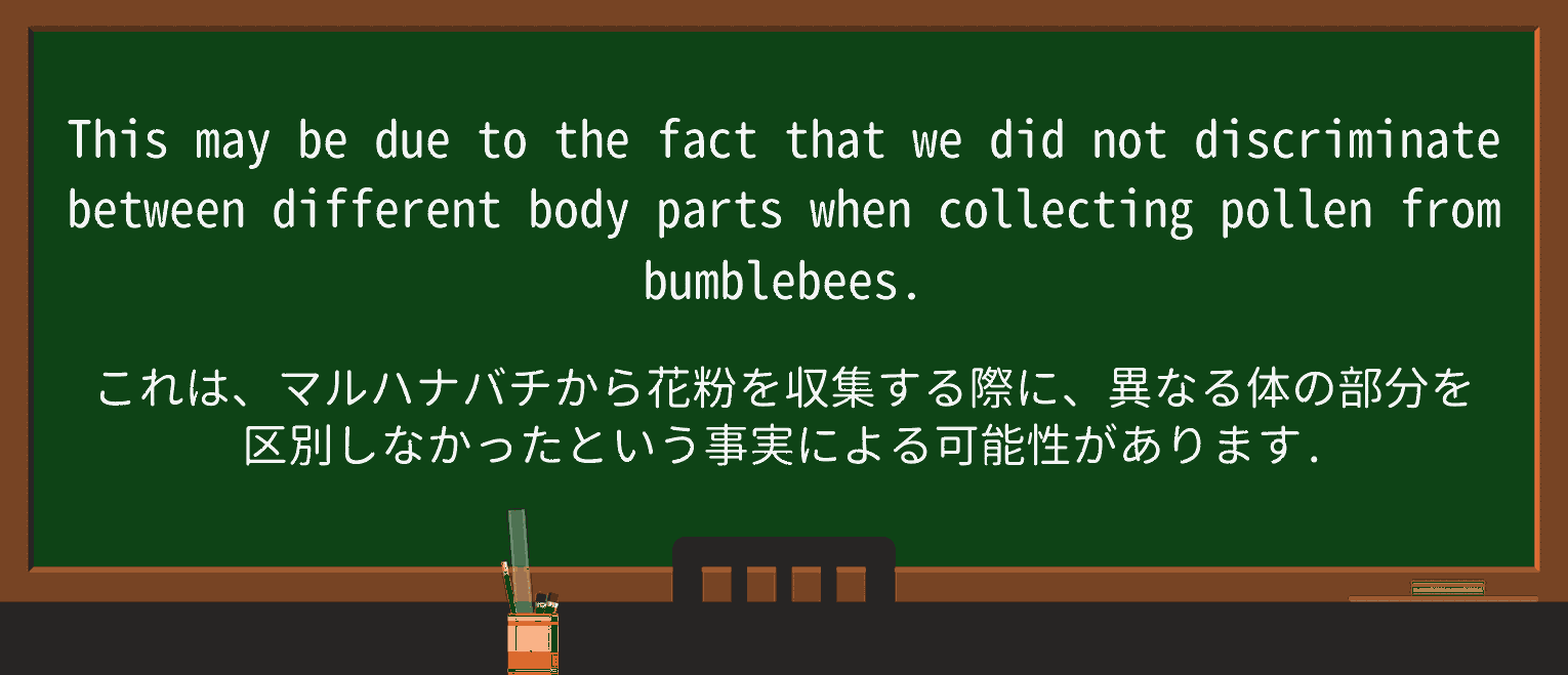 【英単語】bumblebeeを徹底解説!意味、使い方、例文、読み方 ・例文2