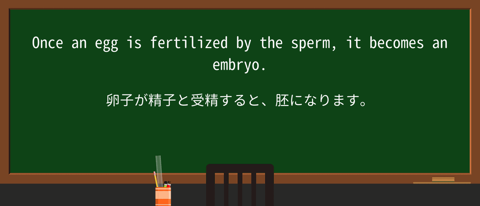 【英単語】fertilizeを徹底解説!意味、使い方、例文、読み方 ・例文1