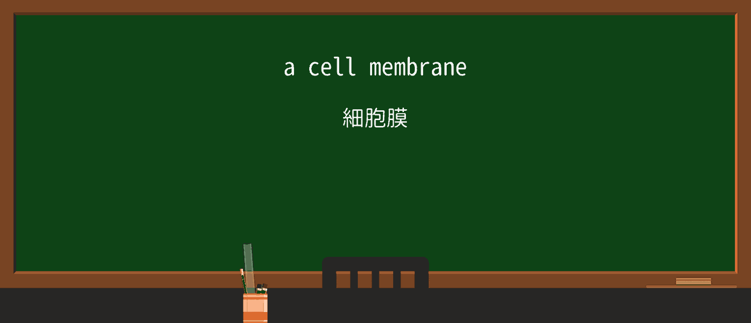 【英単語】membraneを徹底解説!意味、使い方、例文、読み方 ・例文1