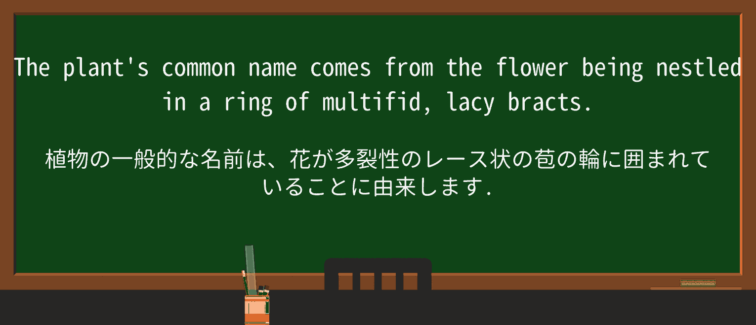 【英単語】lacyを徹底解説!意味、使い方、例文、読み方 ・例文2