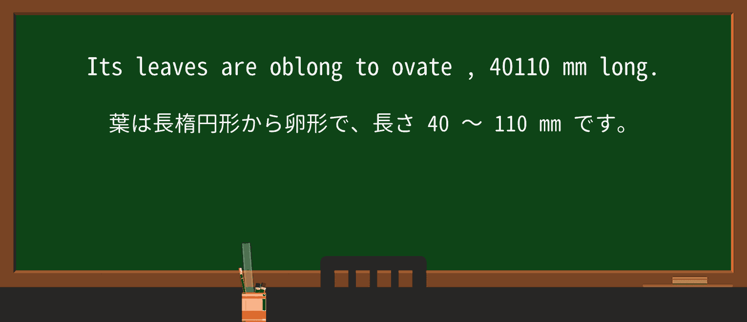【英単語】ovateを徹底解説!意味、使い方、例文、読み方 ・例文4