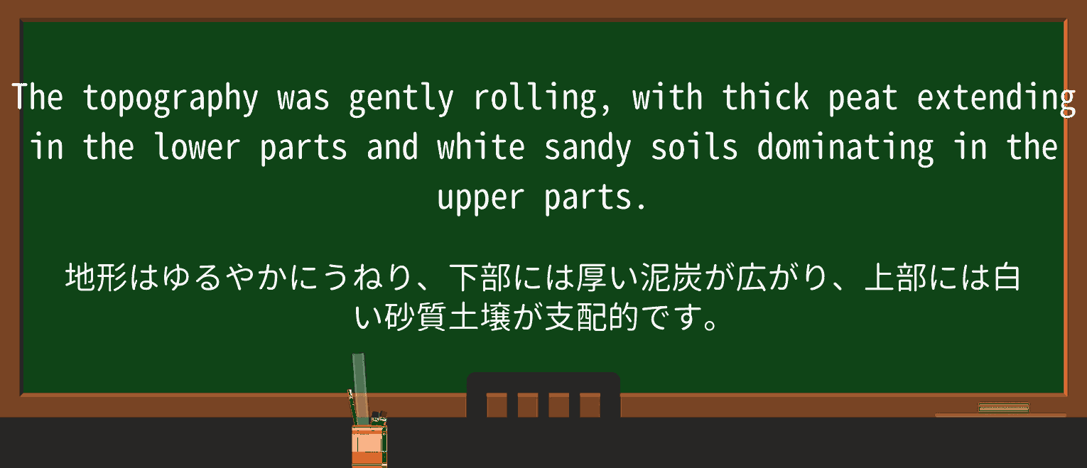 【英単語】peatを徹底解説!意味、使い方、例文、読み方 ・例文2