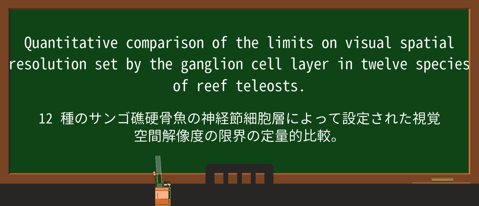 【英単語】reefを徹底解説!意味、使い方、例文、読み方 ・例文4