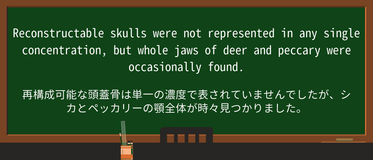 【英単語】peccaryを徹底解説!意味、使い方、例文、読み方 ・例文3