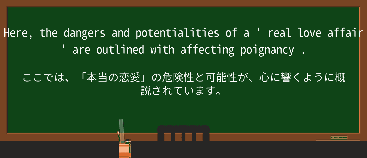 【英単語】poignancyを徹底解説!意味、使い方、例文、読み方 ・例文2