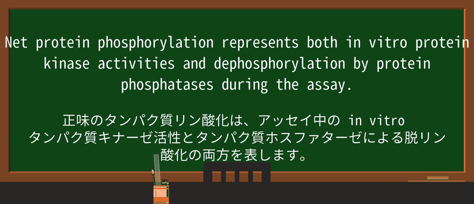 【英単語】phosphataseを徹底解説!意味、使い方、例文、読み方 ・例文3