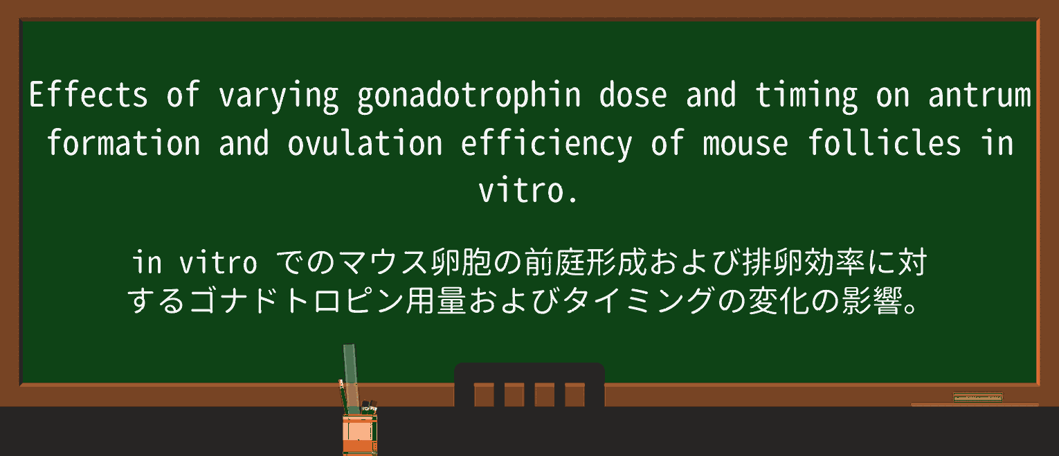 【英単語】antrumを徹底解説!意味、使い方、例文、読み方 ・例文1