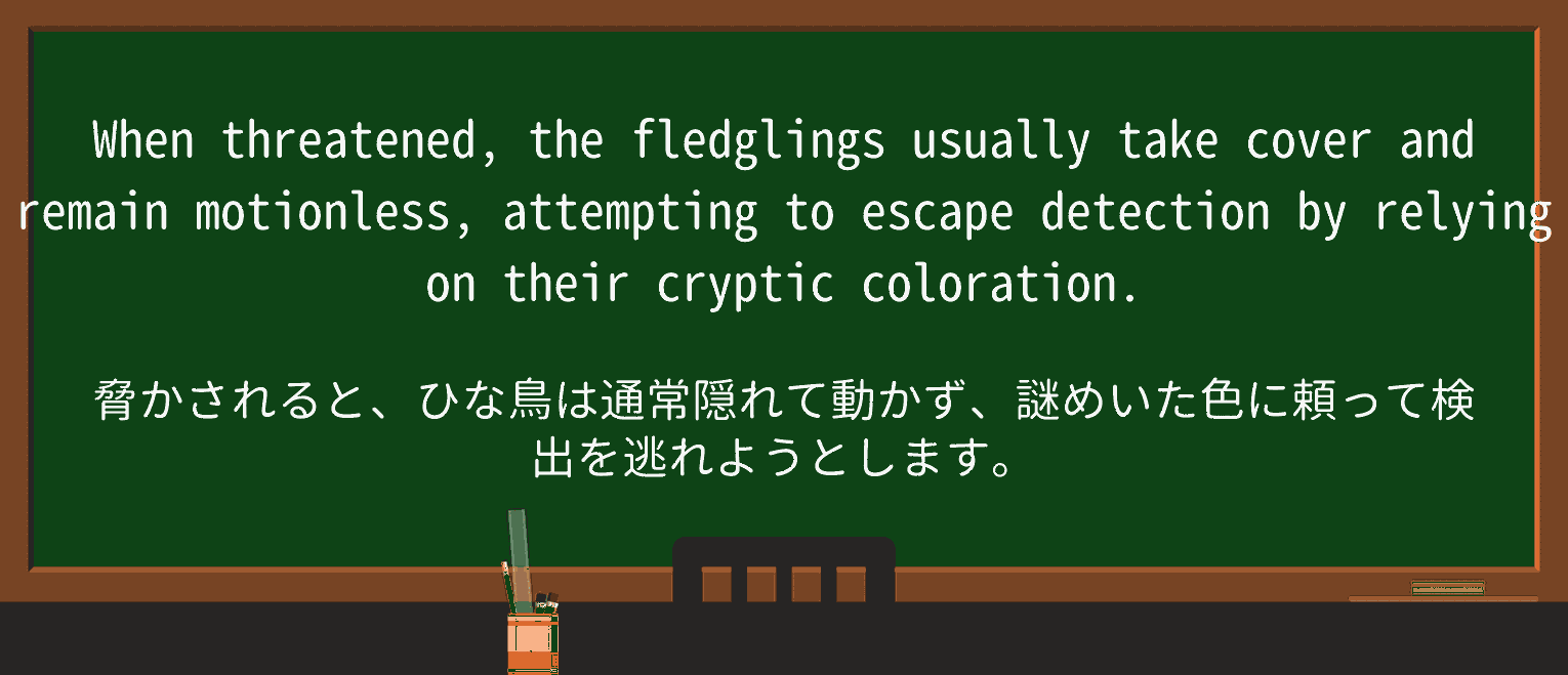 【英単語】fledglingを徹底解説!意味、使い方、例文、読み方 ・例文2