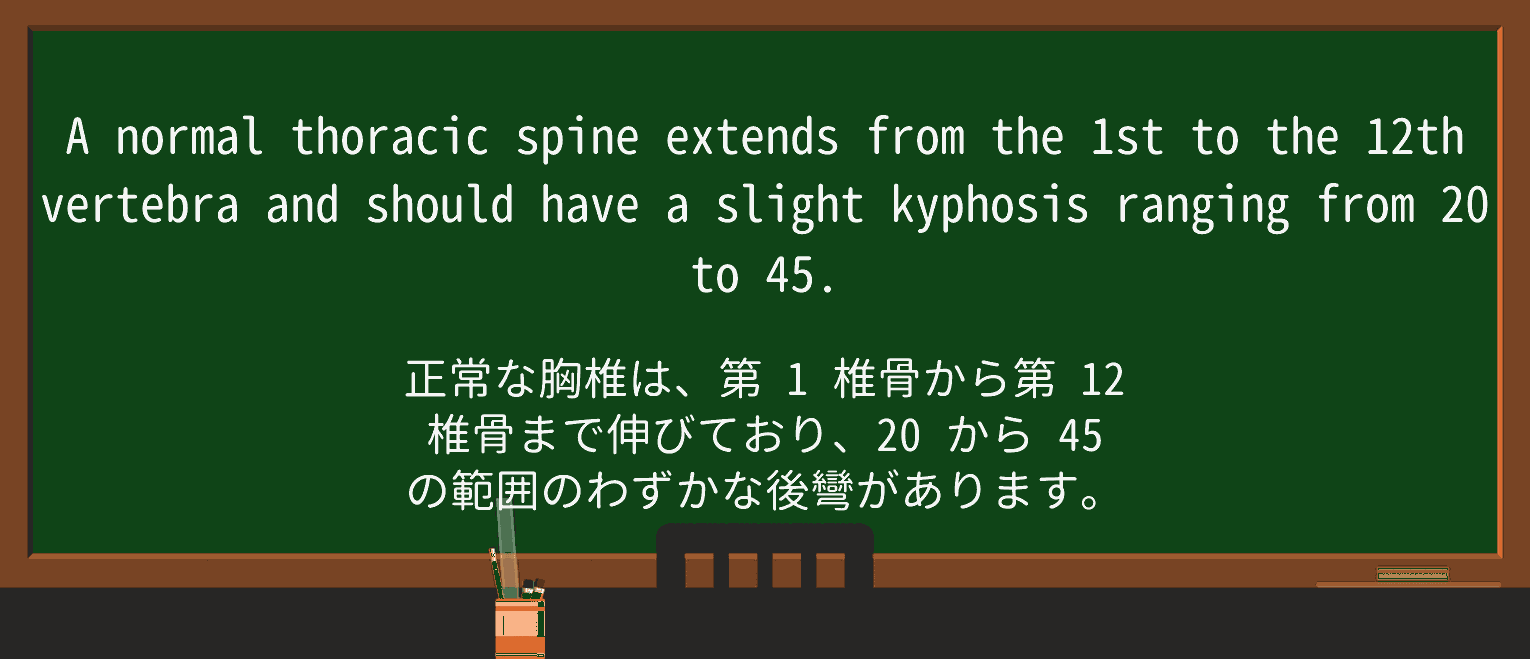 【英単語】kyphosisを徹底解説!意味、使い方、例文、読み方 ・例文3