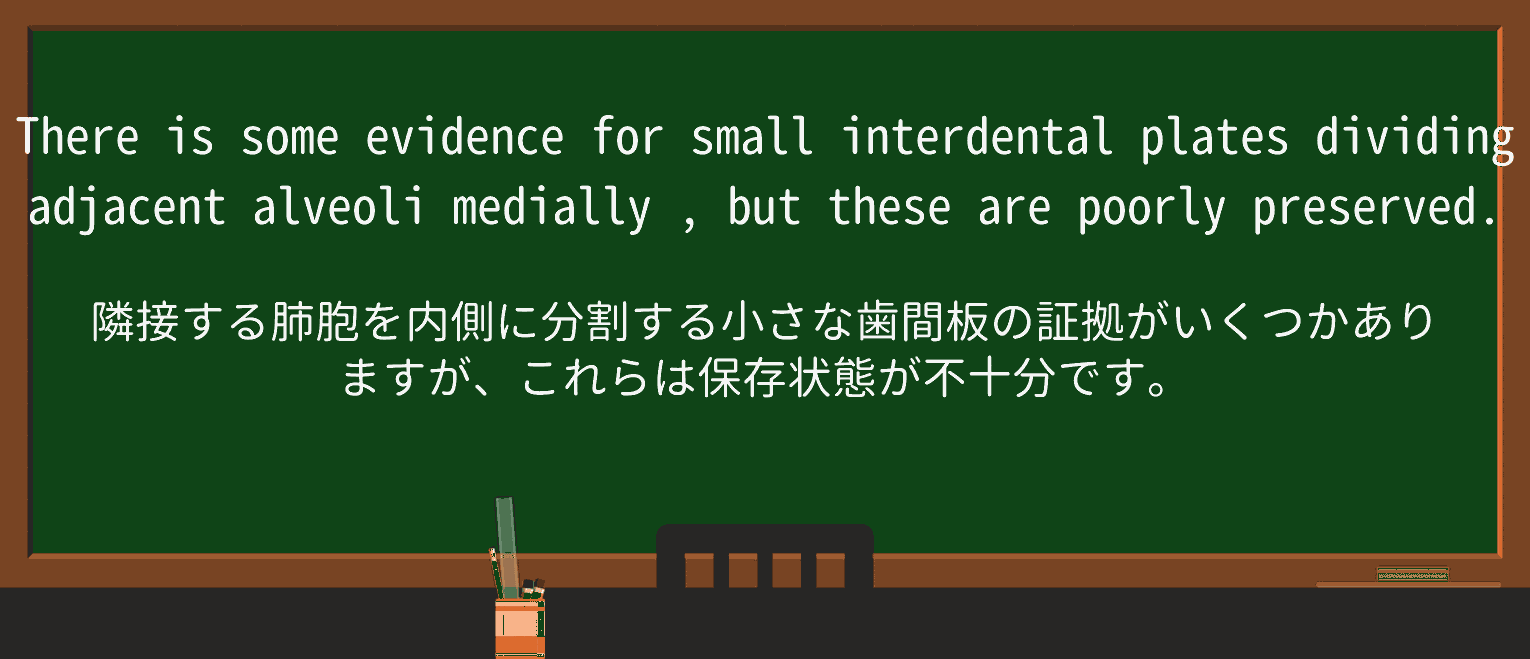 【英単語】mediallyを徹底解説!意味、使い方、例文、読み方 ・例文2