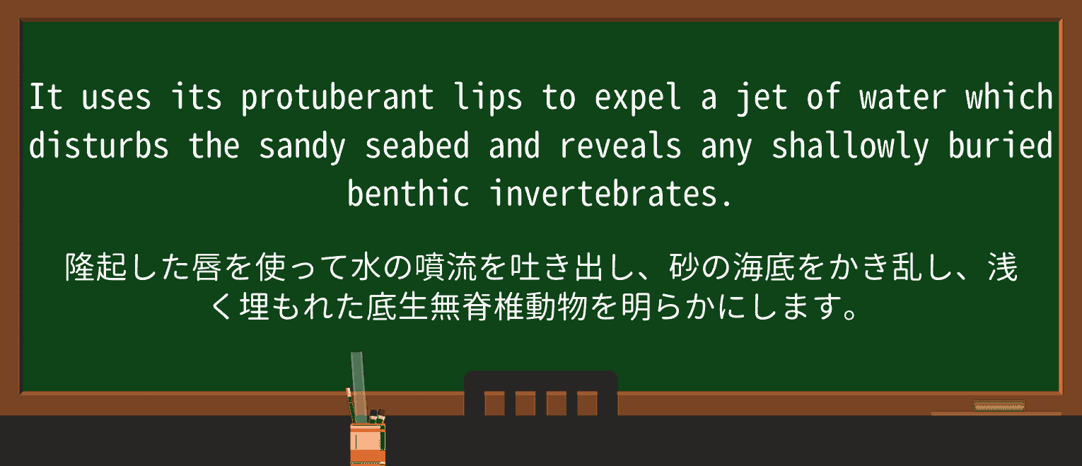 【英単語】protuberantを徹底解説!意味、使い方、例文、読み方 ・例文4