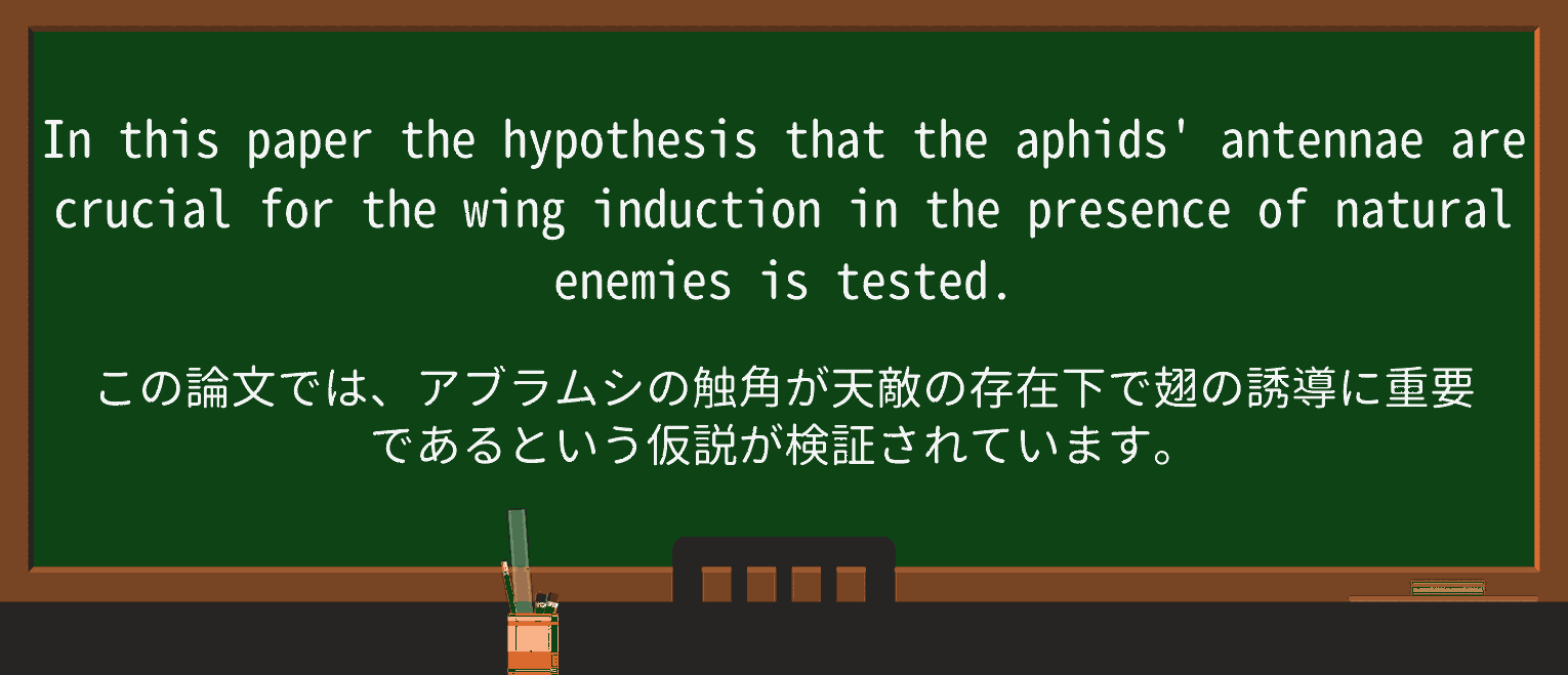 【英単語】aphidを徹底解説!意味、使い方、例文、読み方 ・例文3