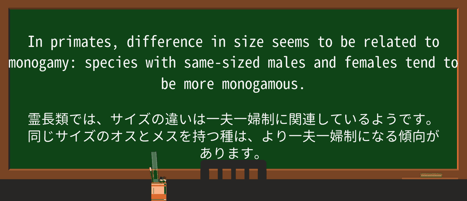 【英単語】monogamyを徹底解説!意味、使い方、例文、読み方 ・例文1