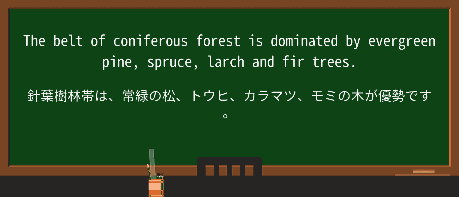 【英単語】firを徹底解説!意味、使い方、例文、読み方 ・例文2