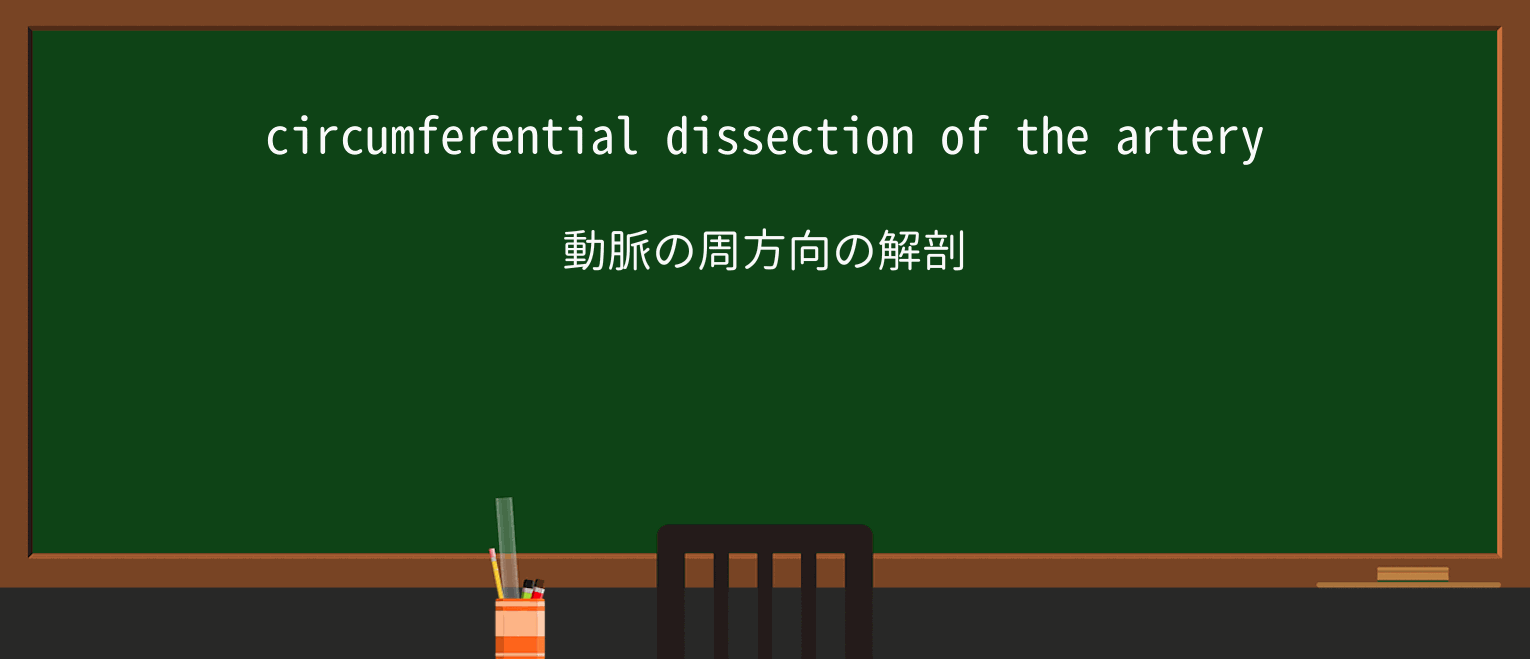 【英単語】circumferentialを徹底解説!意味、使い方、例文、読み方 ・例文1