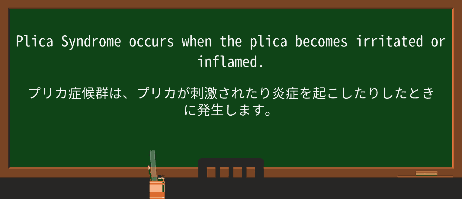 【英単語】plicaを徹底解説!意味、使い方、例文、読み方 ・例文1
