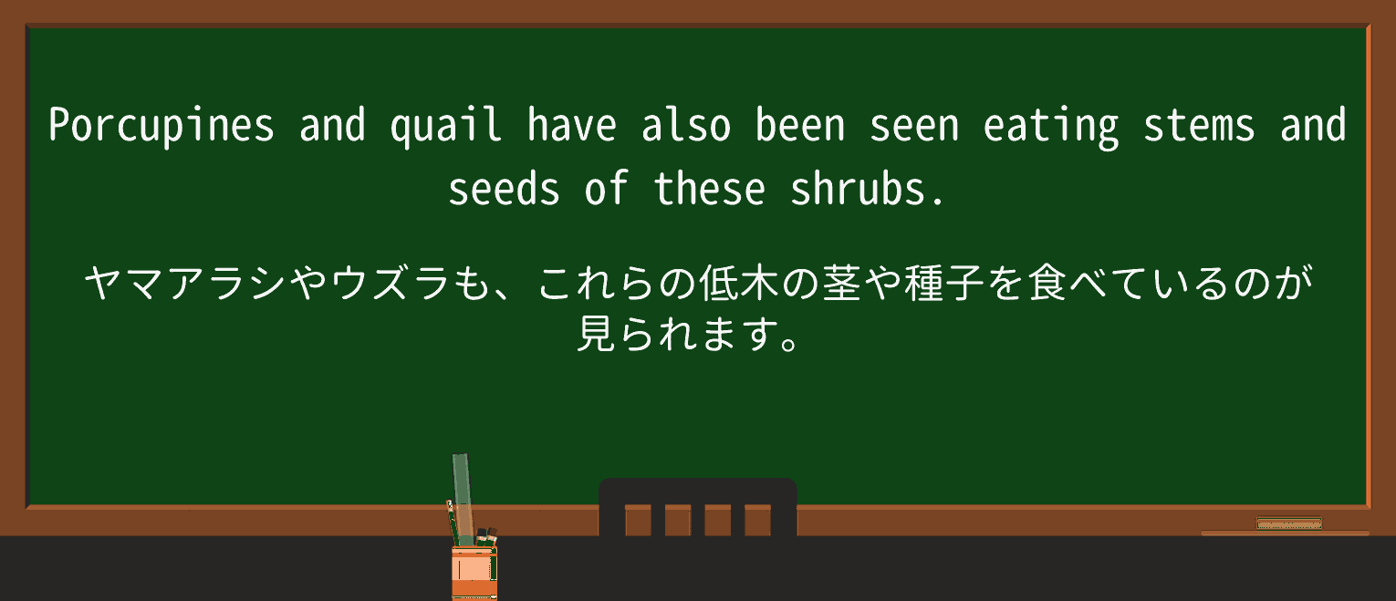 【英単語】porcupineを徹底解説!意味、使い方、例文、読み方 ・例文3