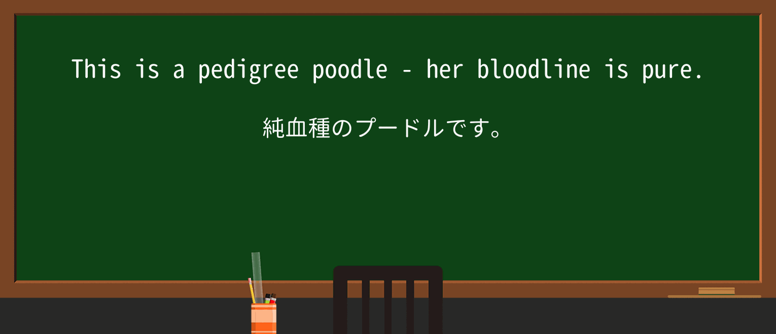 【英単語】bloodlineを徹底解説!意味、使い方、例文、読み方 ・例文1