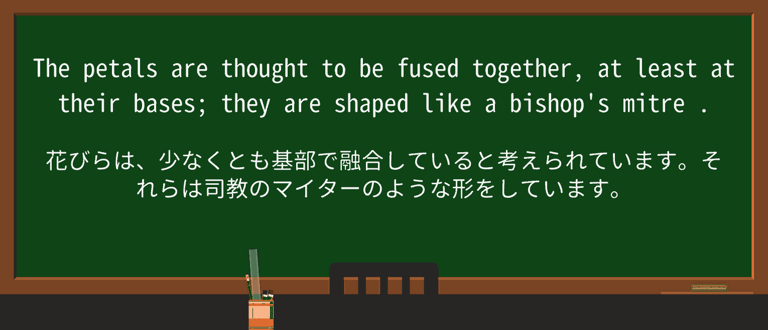 【英単語】mitreを徹底解説!意味、使い方、例文、読み方 ・例文2