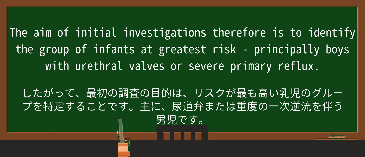 【英単語】principallyを徹底解説!意味、使い方、例文、読み方 ・例文2