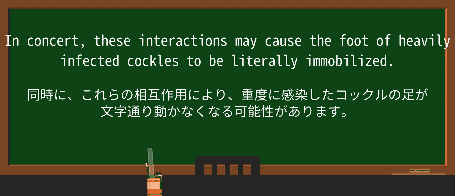 【英単語】cockleを徹底解説!意味、使い方、例文、読み方 ・例文1