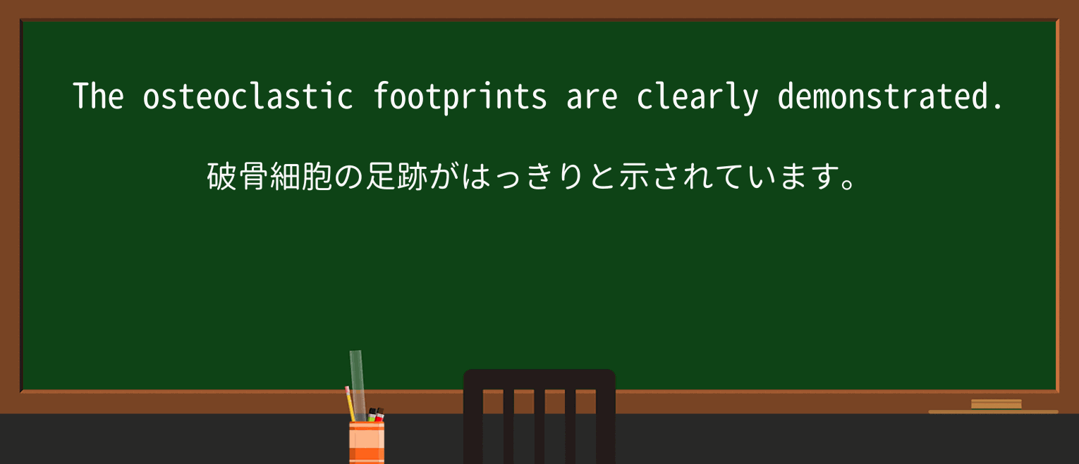 【英単語】footprintを徹底解説!意味、使い方、例文、読み方 ・例文4
