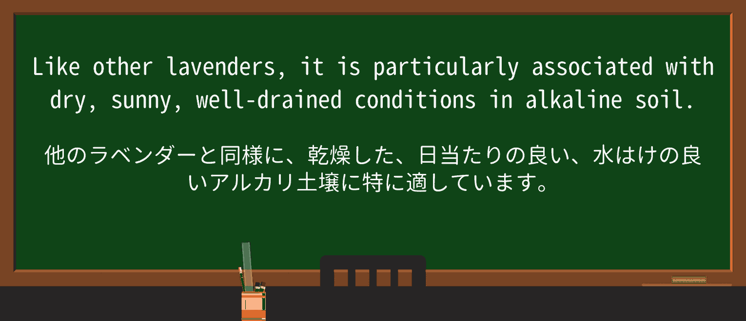 【英単語】lavenderを徹底解説!意味、使い方、例文、読み方 ・例文3