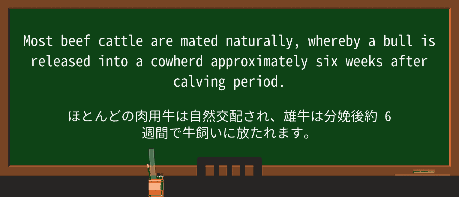 【英単語】cowherdを徹底解説!意味、使い方、例文、読み方 ・例文1