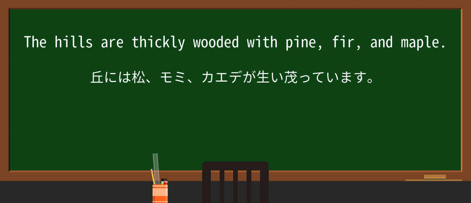 【英単語】firを徹底解説!意味、使い方、例文、読み方 ・例文1