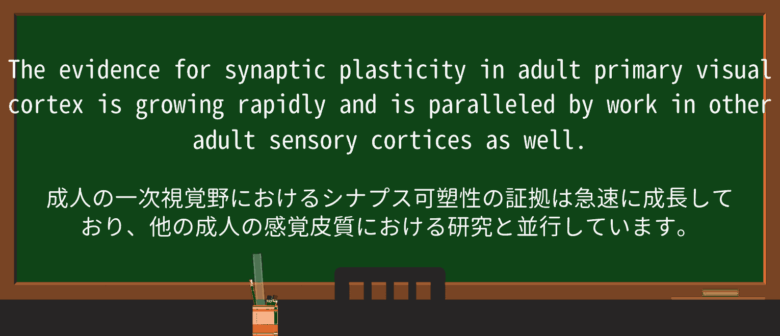【英単語】plasticityを徹底解説!意味、使い方、例文、読み方 ・例文1