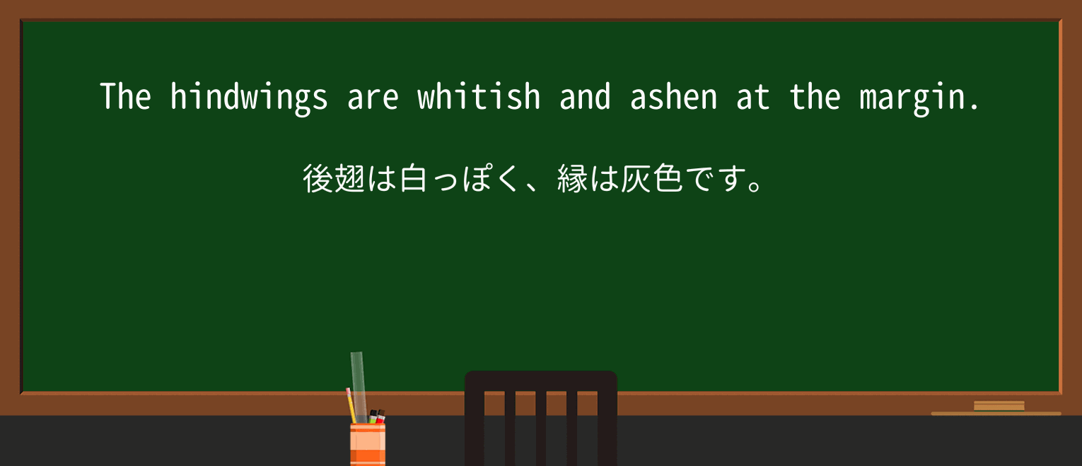 【英単語】ashenを徹底解説!意味、使い方、例文、読み方 ・例文4