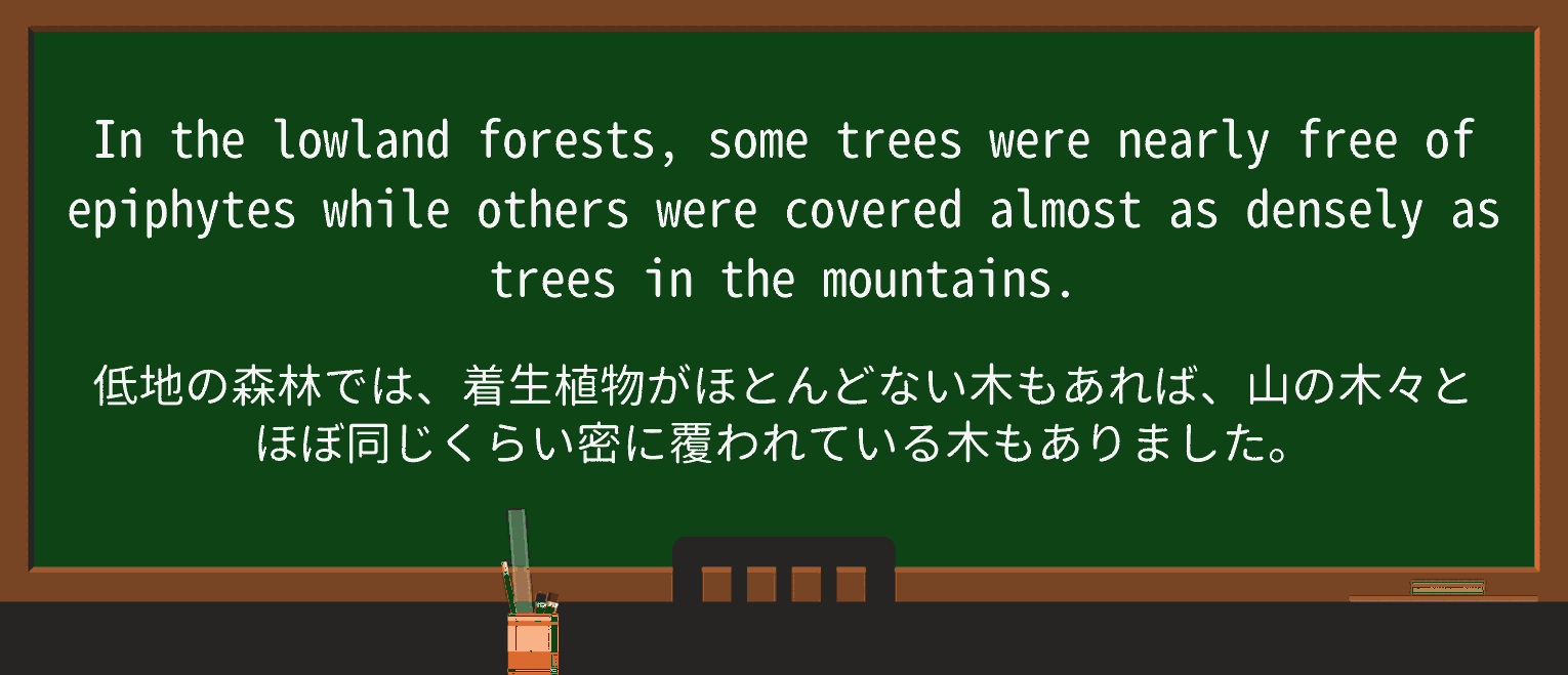 【英単語】denselyを徹底解説!意味、使い方、例文、読み方 ・例文4