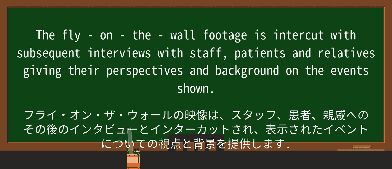 【英単語】fly-on-the-wallを徹底解説!意味、使い方、例文、読み方 ・例文3
