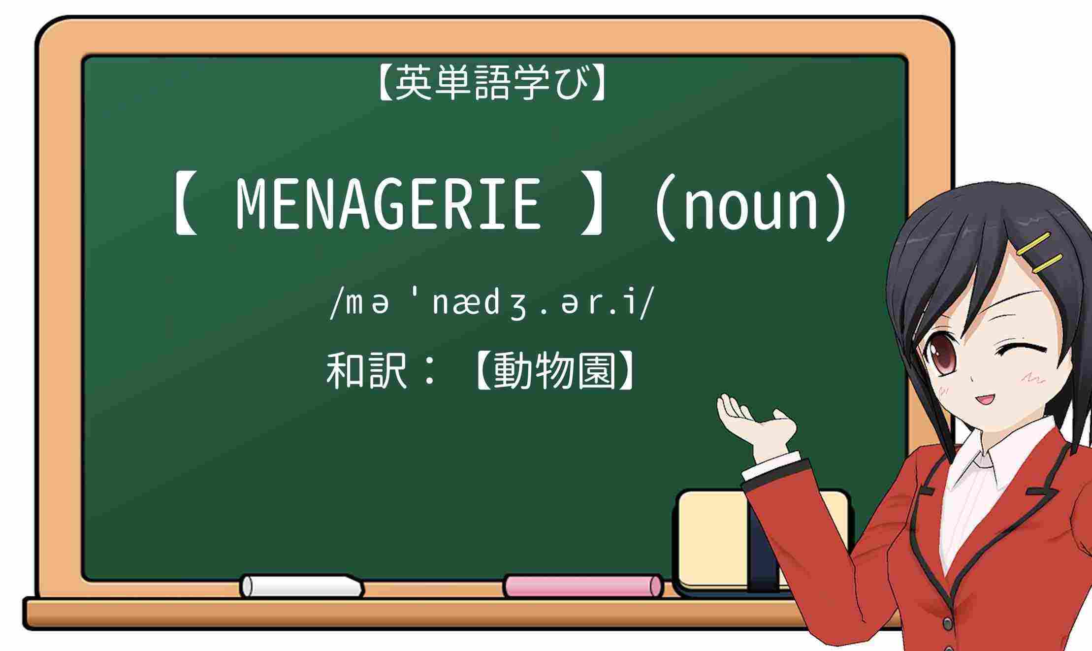 【英単語】menagerieを徹底解説!意味、使い方、例文、読み方