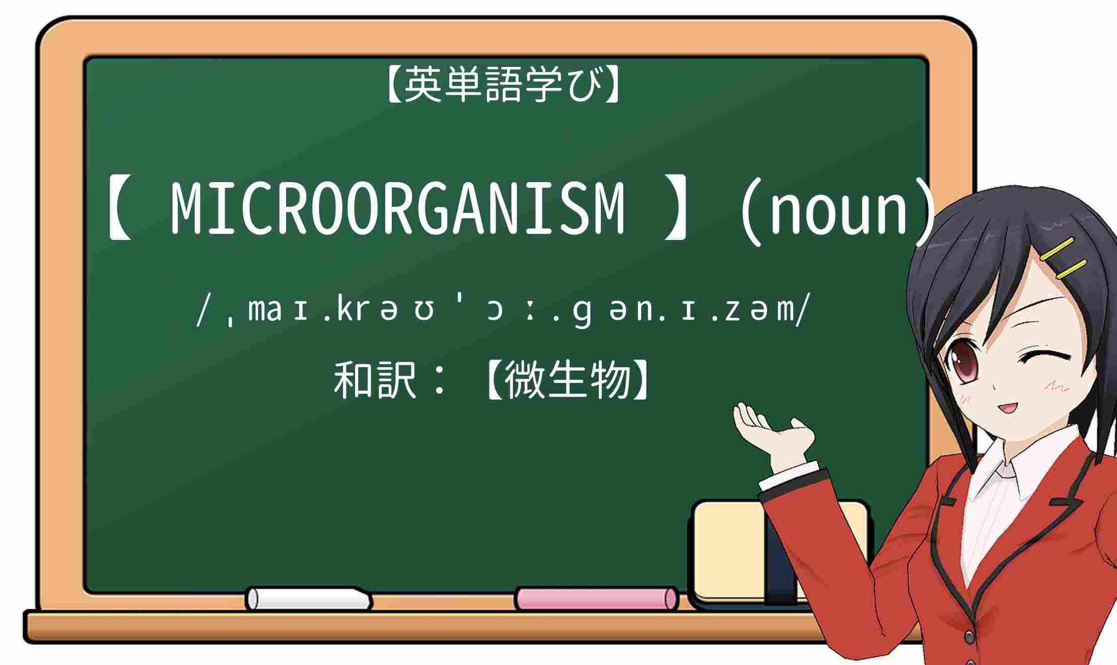 【英単語】microorganismを徹底解説!意味、使い方、例文、読み方