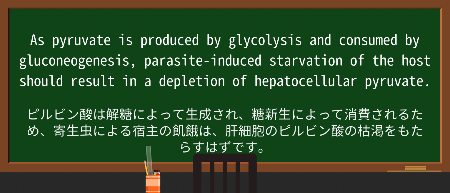 【英単語】starvationを徹底解説!意味、使い方、例文、読み方 ・例文2