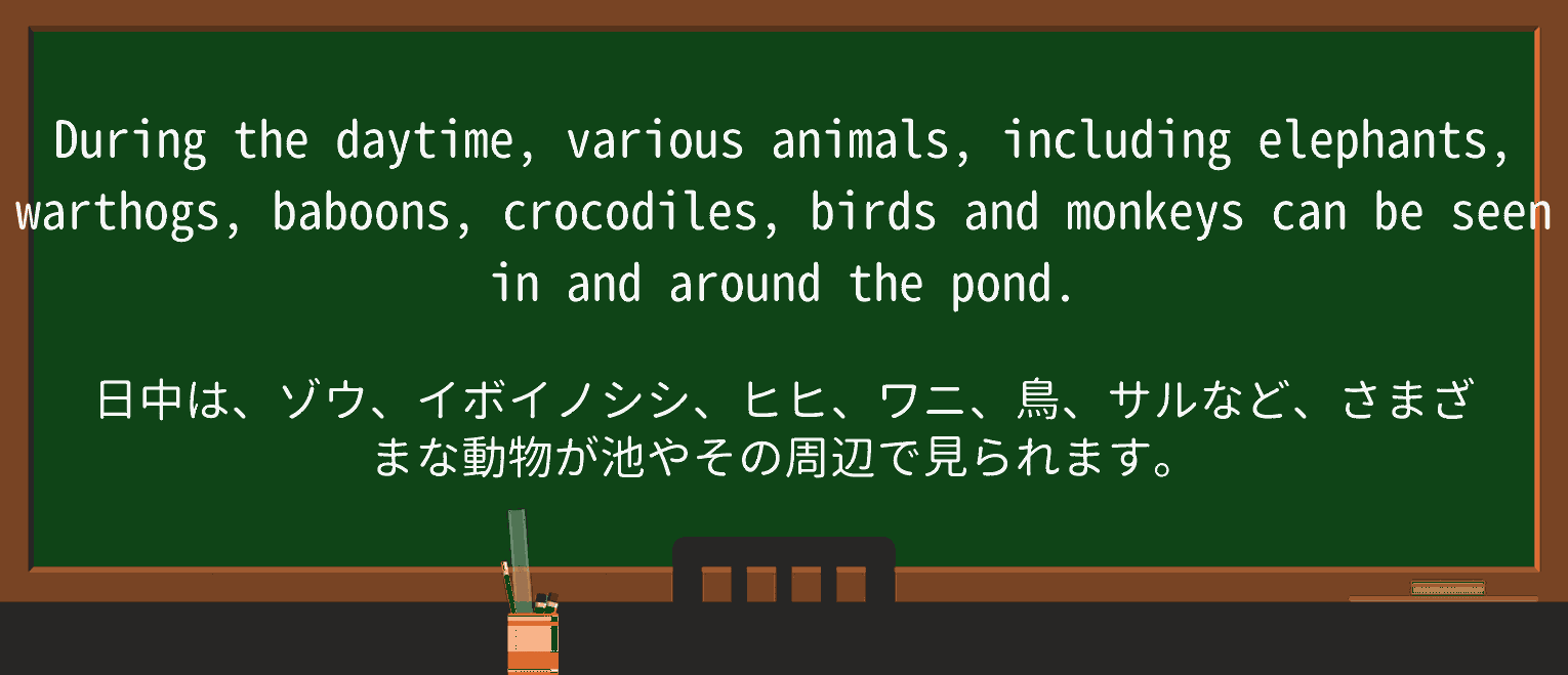 【英単語】warthogを徹底解説!意味、使い方、例文、読み方 ・例文2