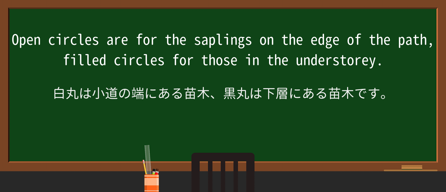 【英単語】saplingを徹底解説!意味、使い方、例文、読み方 ・例文2