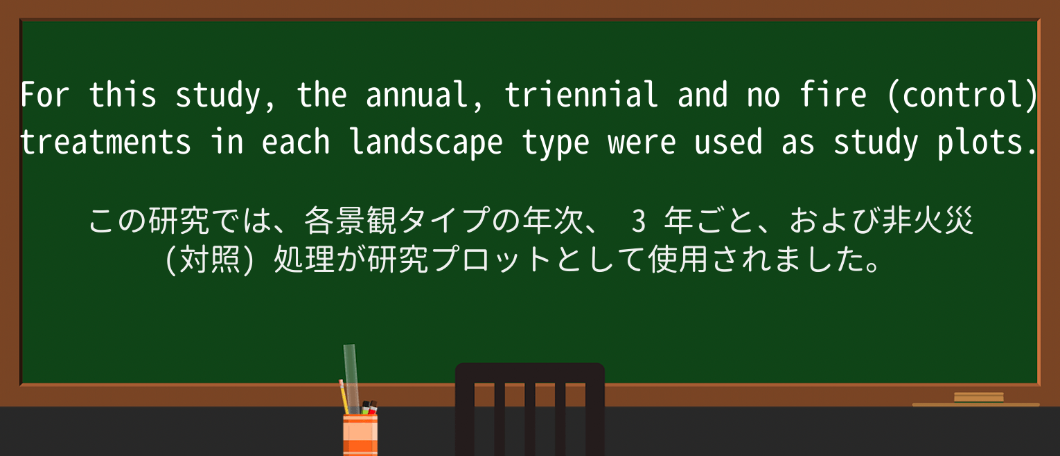 【英単語】triennialを徹底解説!意味、使い方、例文、読み方 ・例文2